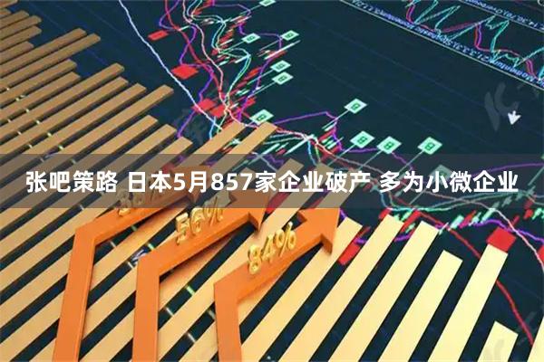 张吧策路 日本5月857家企业破产 多为小微企业