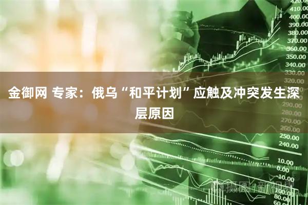 金御网 专家：俄乌“和平计划”应触及冲突发生深层原因